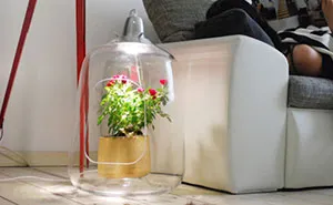 Plant Lamps That Will Give Your Flowers The Sunshine They Miss During Winter