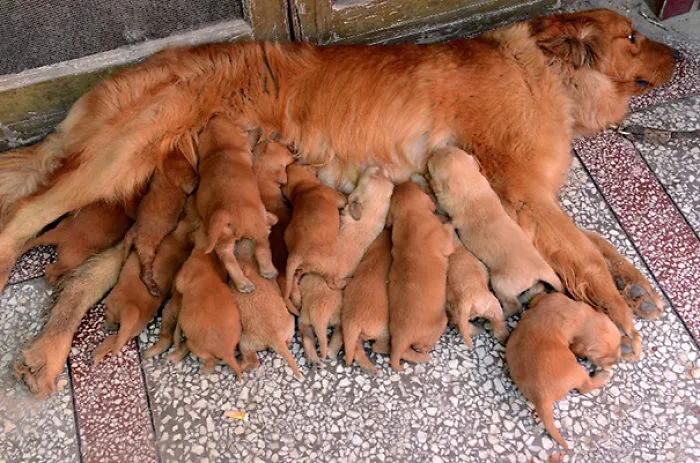 Proud Mommy
