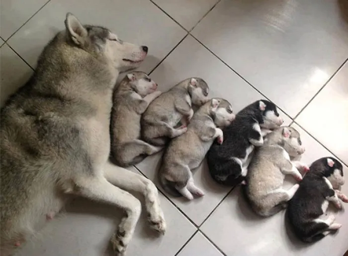 Proud Mommy
