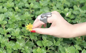 Adorable Hand-painted Animal Rings Designed By Good After Nine