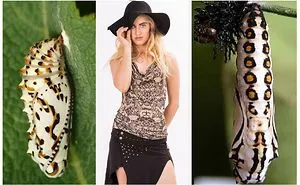 Turning Butterflies Into Boutique Fashion