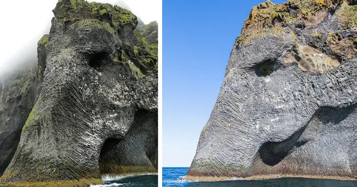 Giant Sea Elephant Emerges From The Ocean In Iceland