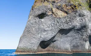 Giant Sea Elephant Emerges From The Ocean In Iceland