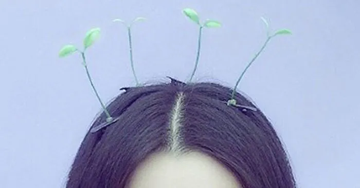 Sprout Hair Pins Are The Latest Trend In China