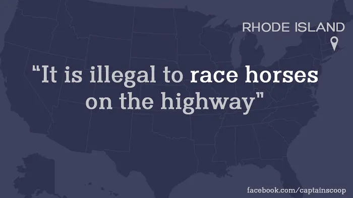 Highway Rules, Horse Edition