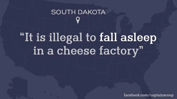 Curds and Consequences