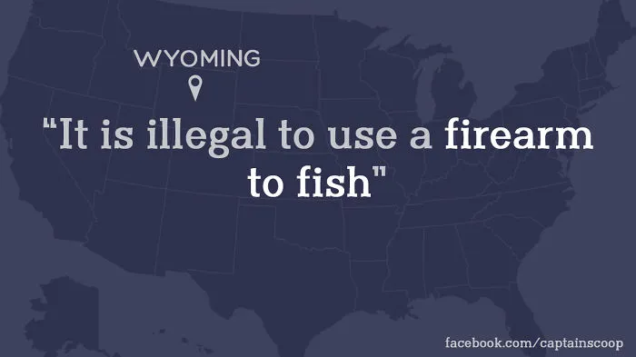 Fishing with a Twist