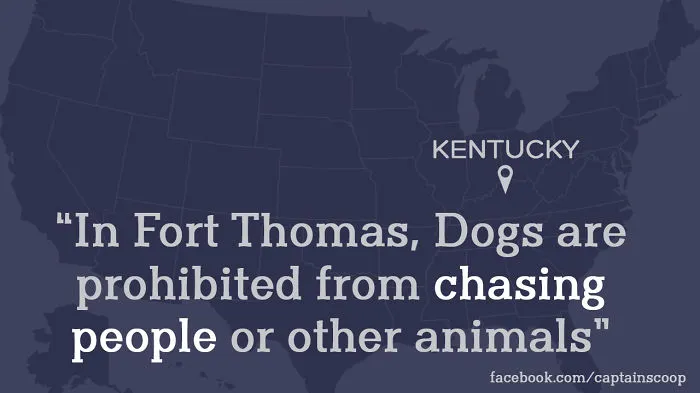 Strange Laws You Didn’t Know
