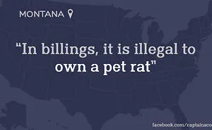 20 Most Stupid Laws In The U.S.