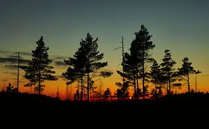 Sunset In Its Beauty...