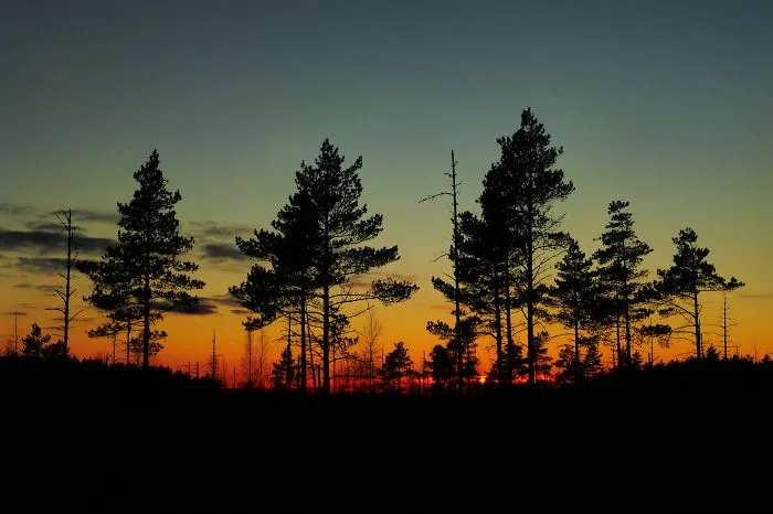 Sunset In Its Beauty...