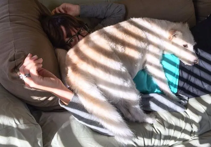 He Wanted To Lay In The Sun.