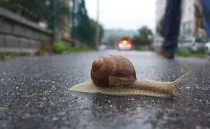 53 Reasons Why Being A Nature Photographer Is The Best Job In The World