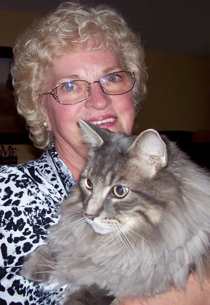 Woman holding a large Maine Coon cat with fluffy fur, showcasing giant kitties with soft, gentle character.