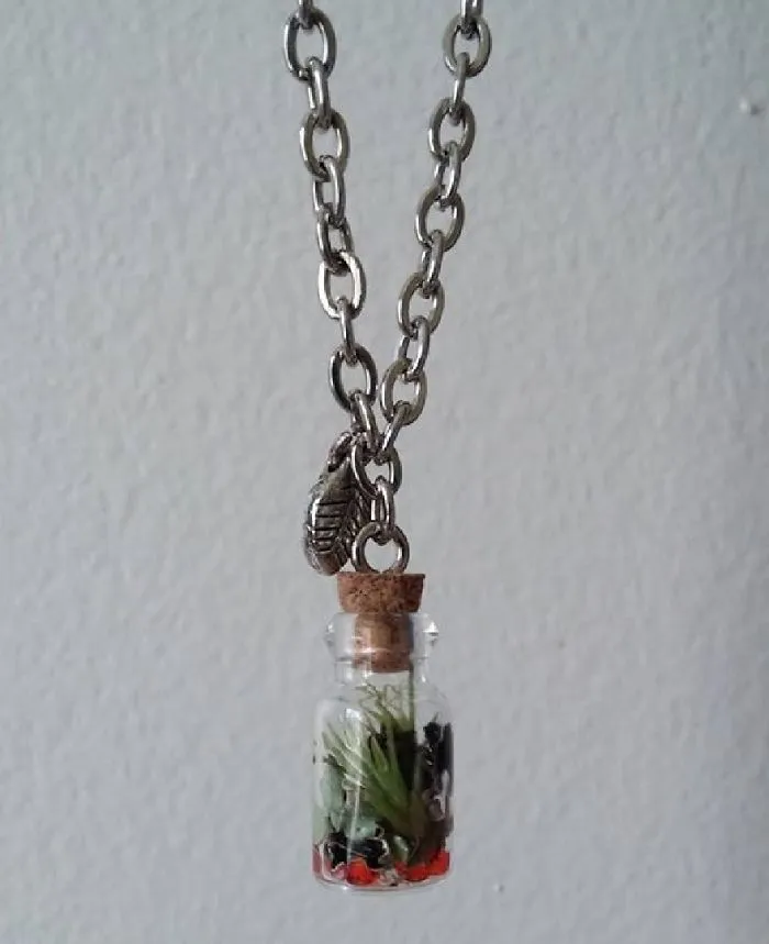 Air Plant In A Vial Neacklace
