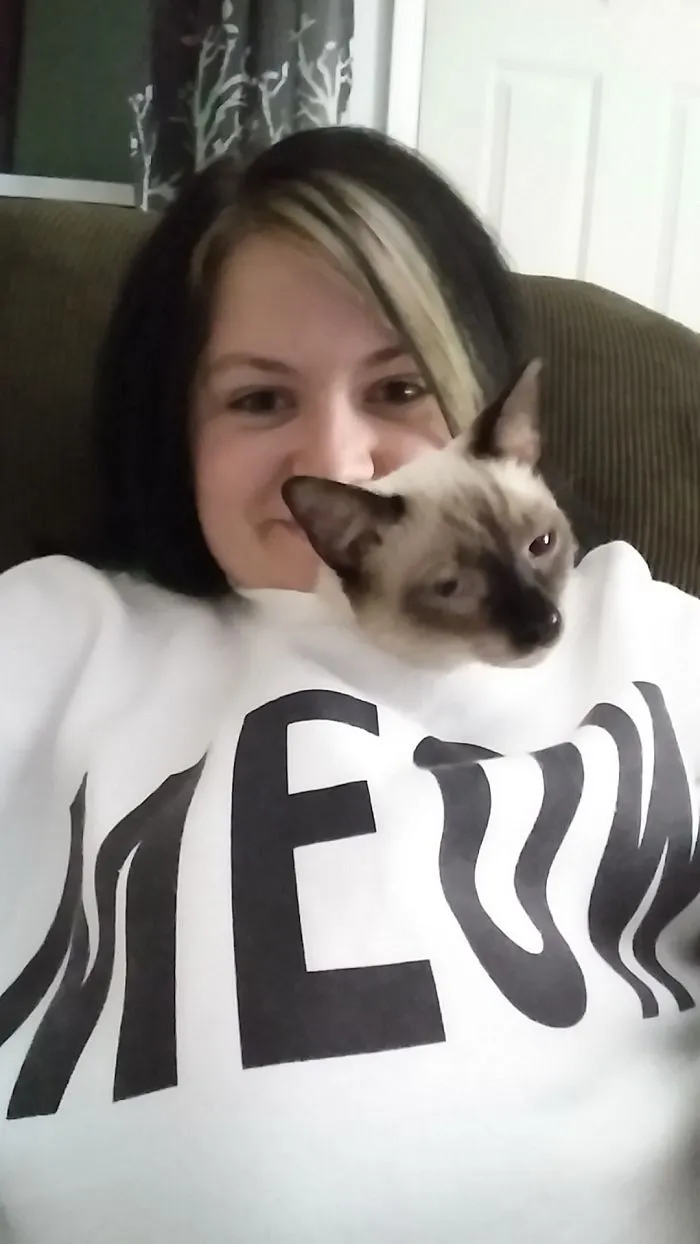 150 Cats Who Immediately Regretted Their Poor Life Choices