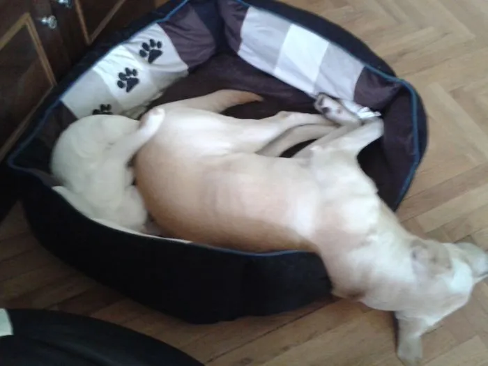 Too Small Bed For Us