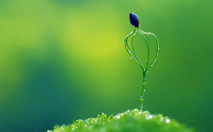 Test Post