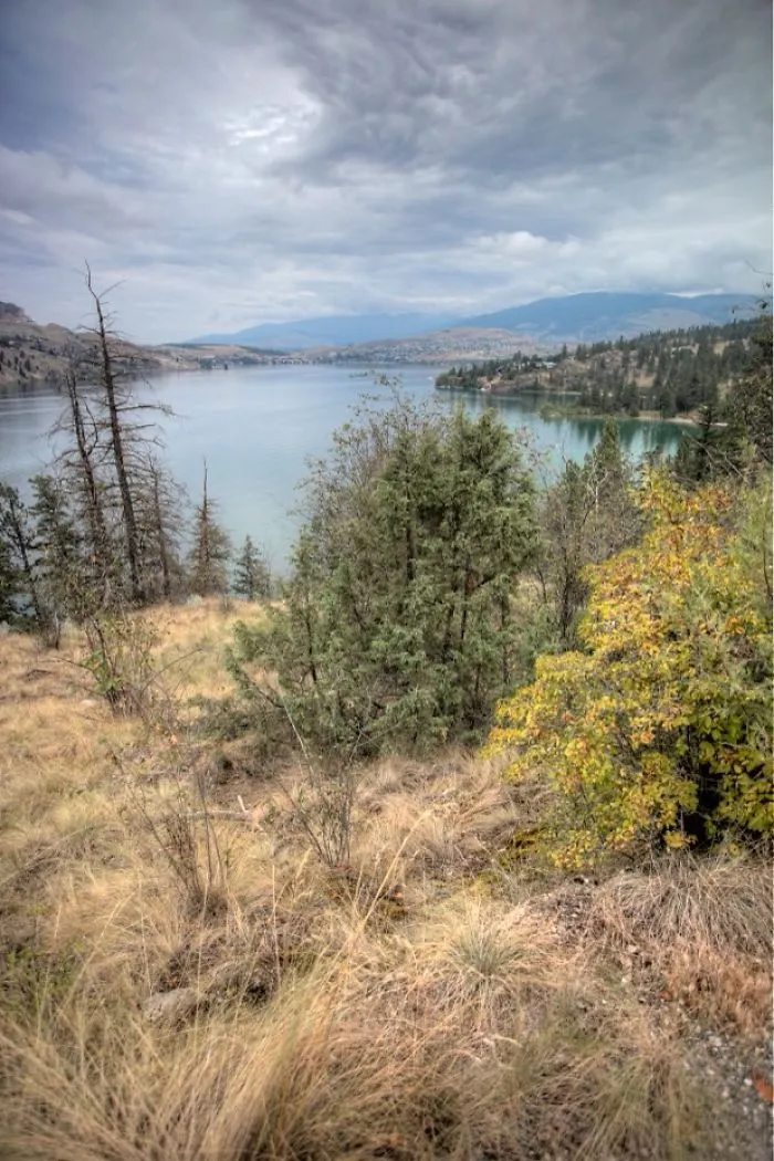 The Okanagan....home Is Where The Heart Is.