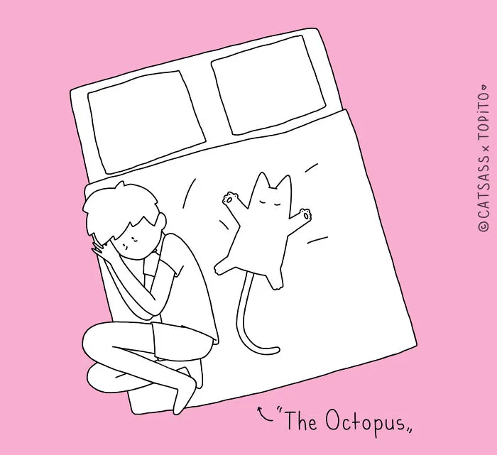 The Octopus