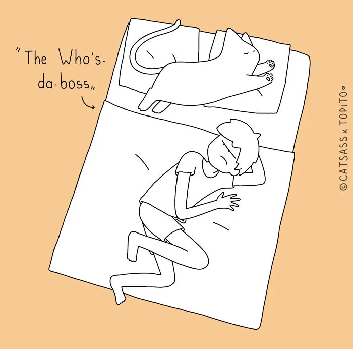 The Who's-da-boss