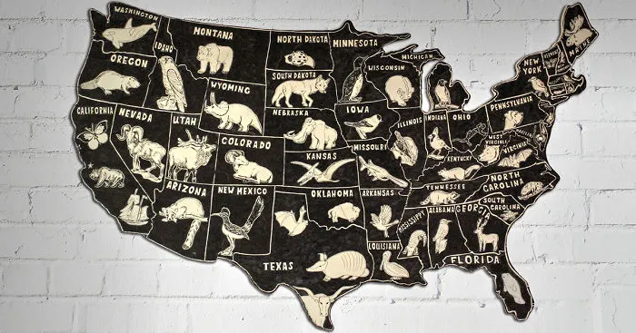I Spent 25 Hours Making This Wooden Map Of USA