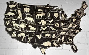 I Spent 25 Hours Making This Wooden Map Of USA