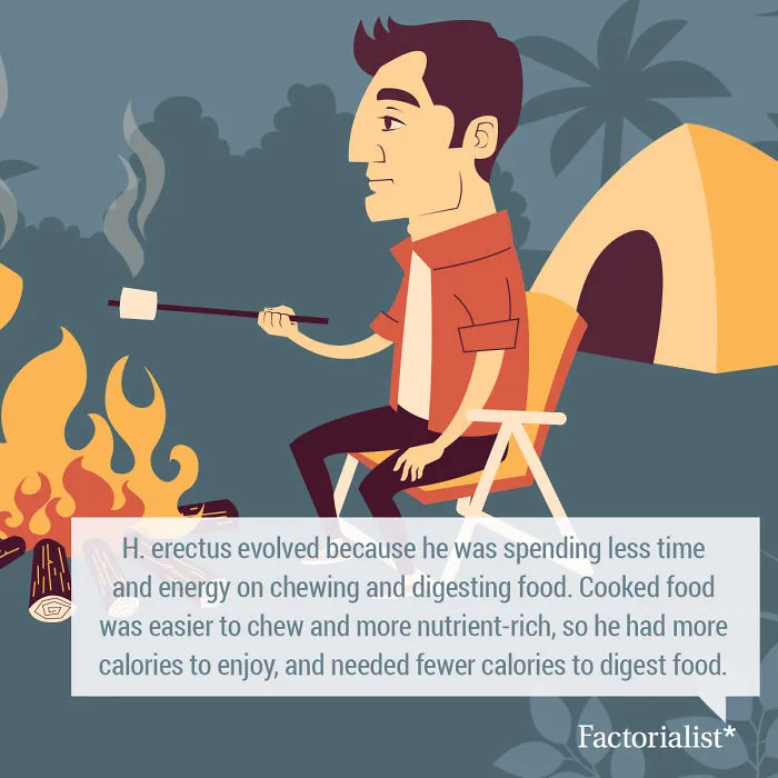 You’ll Gobble Up This Platter Of Delicious Food Facts