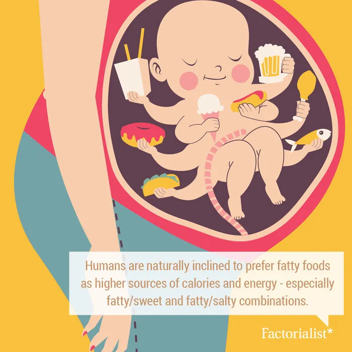 You’ll Gobble Up This Platter Of Delicious Food Facts