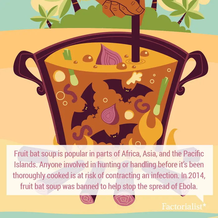 You’ll Gobble Up This Platter Of Delicious Food Facts