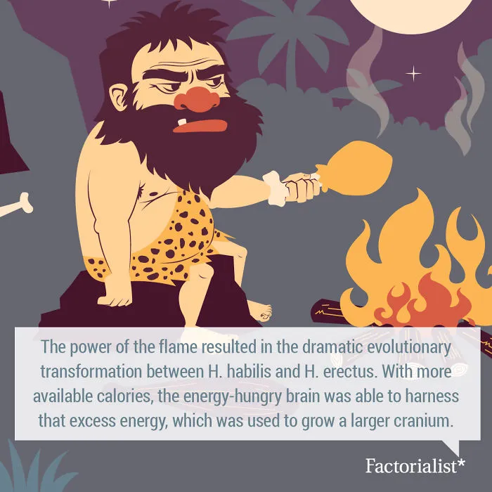 You’ll Gobble Up This Platter Of Delicious Food Facts