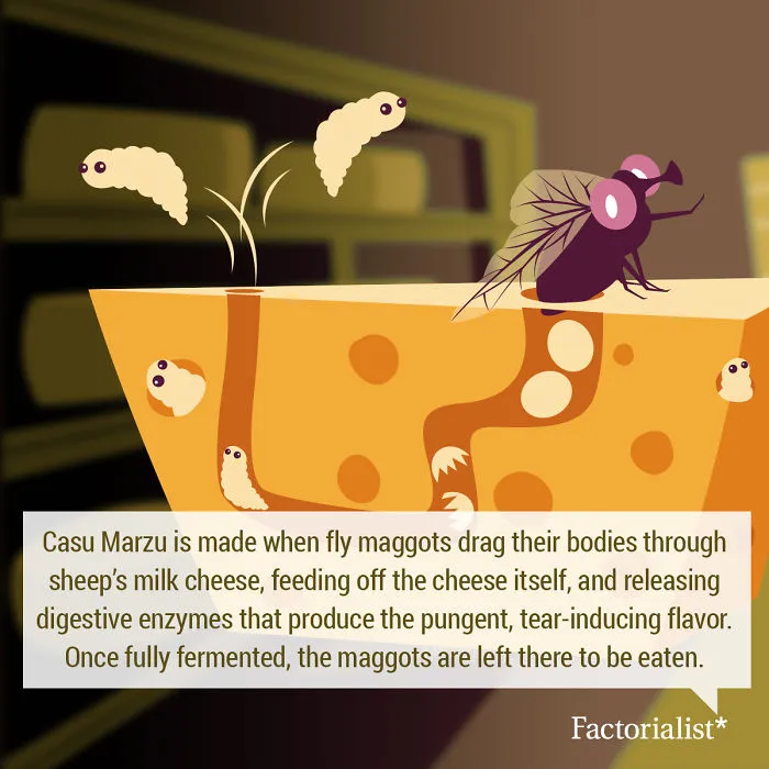 You’ll Gobble Up This Platter Of Delicious Food Facts