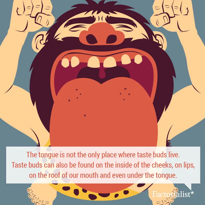 You’ll Gobble Up This Platter Of Delicious Food Facts