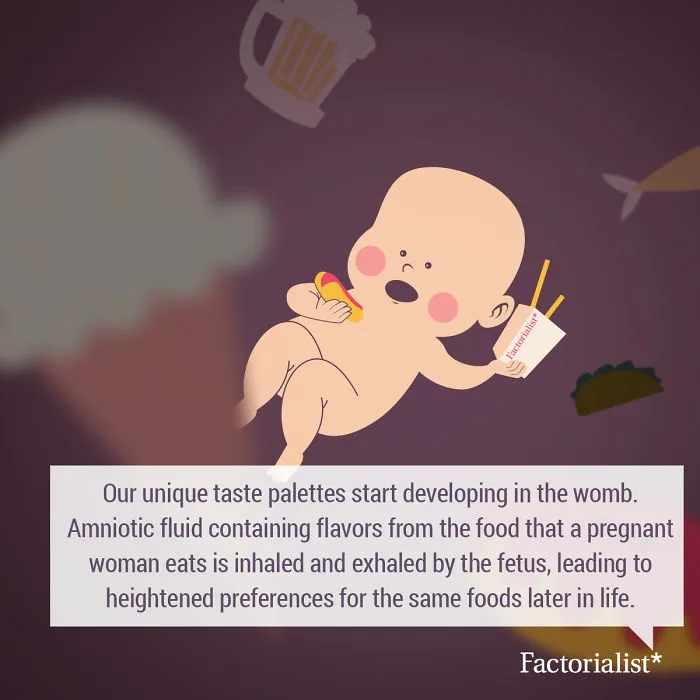 You’ll Gobble Up This Platter Of Delicious Food Facts