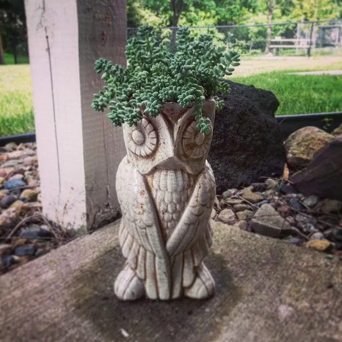 Owl Planter