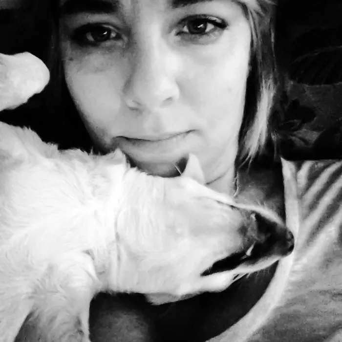 My Brand New 100% Chihuahua Scarf.