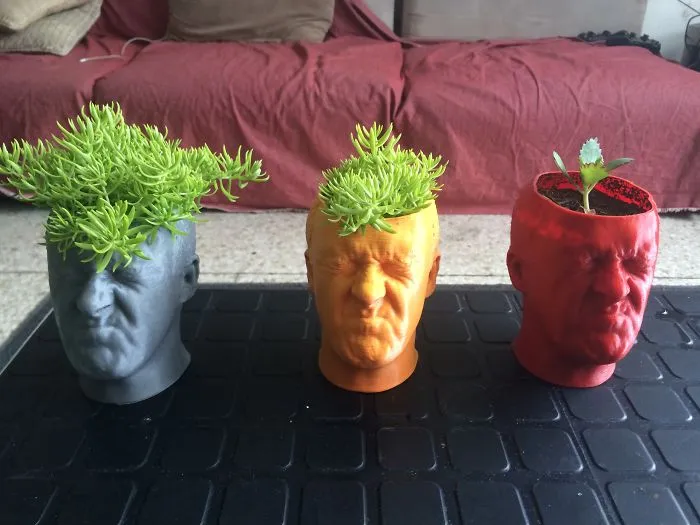 Intense Idea Planter