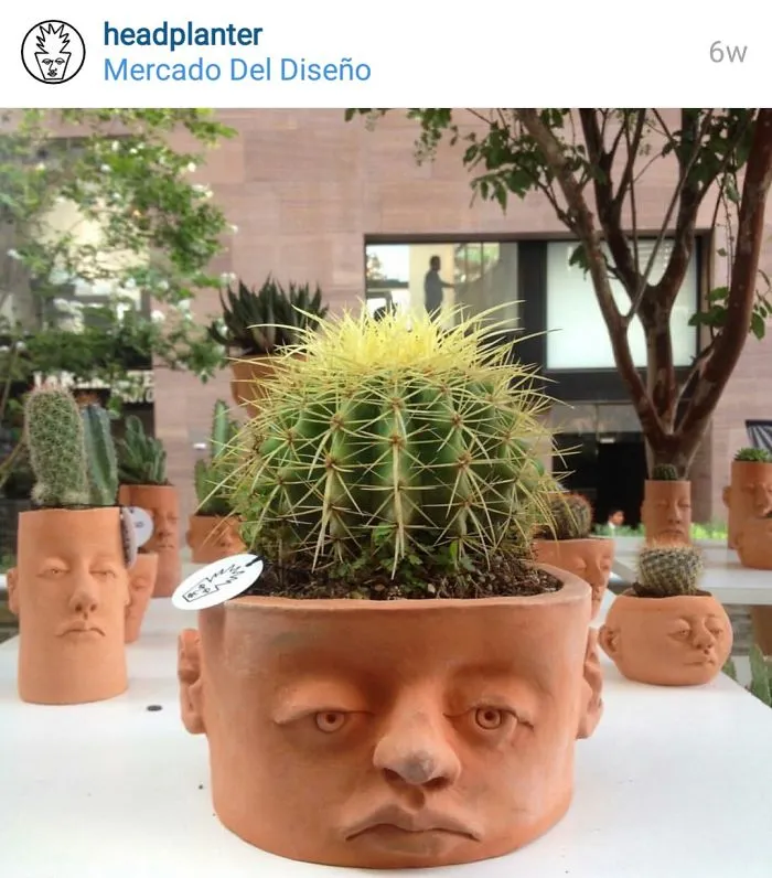 @headplanter
