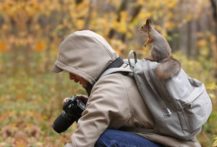 53 Reasons Why Being A Nature Photographer Is The Best Job In The World