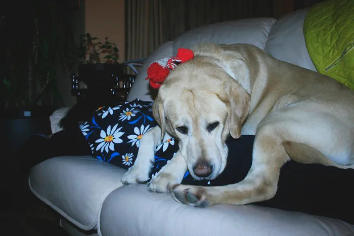 Just Chillin' On The Couch With Mom... Uhm... On Mom.