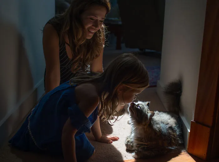 Young girls interacting warmly with a Maine Coon cat, showcasing the giant kitties with the softest character indoors.