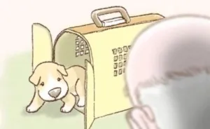 An Illustrated Story Of One Sad Dog