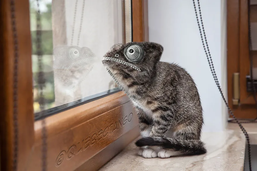 Catmeleon