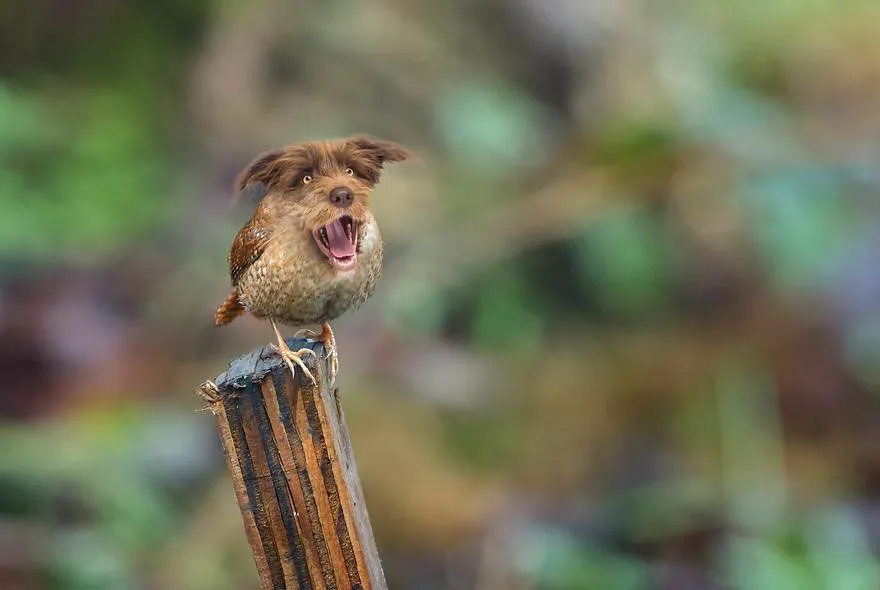 Photoshop hybrid animal with bird body and dog head perched on a wooden post in a natural setting.