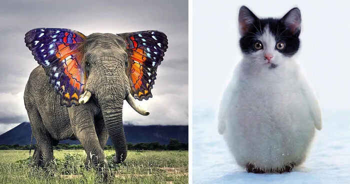 48 Strange Animal Hybrids Bred In Photoshop