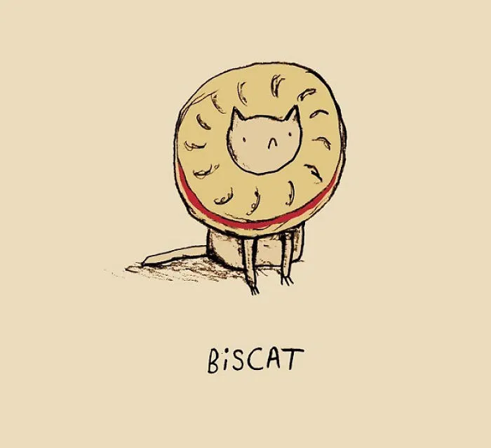 29 Funny Animal Puns To Make Your Monday Pun Again