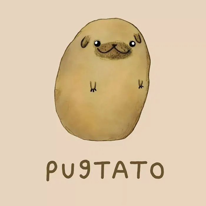 Animal Puns