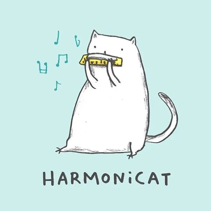 29 Funny Animal Puns To Make Your Monday Pun Again