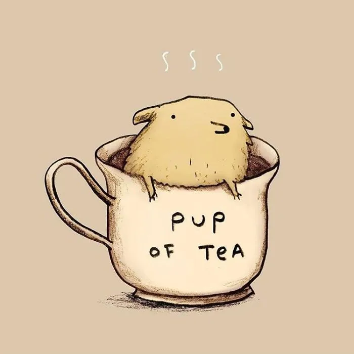 29 Funny Animal Puns To Make Your Monday Pun Again