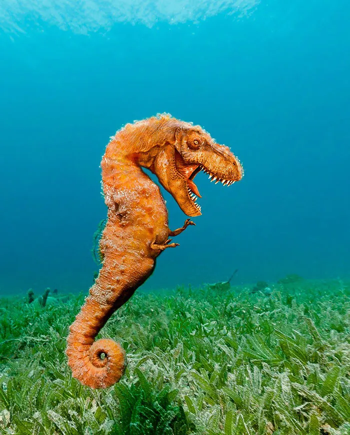 Searex